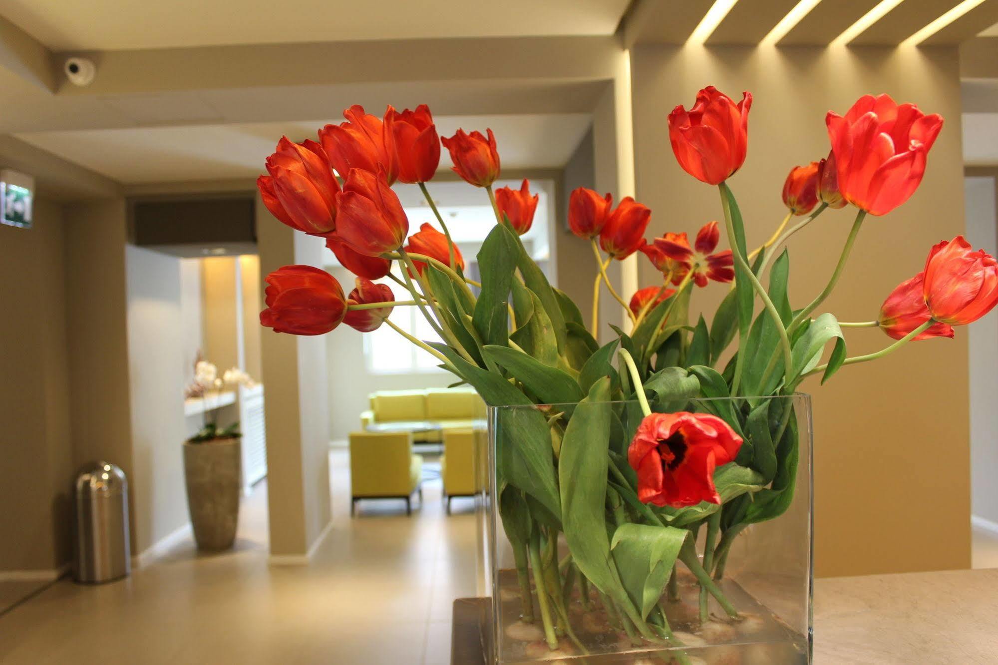 Hotel Airone Catane